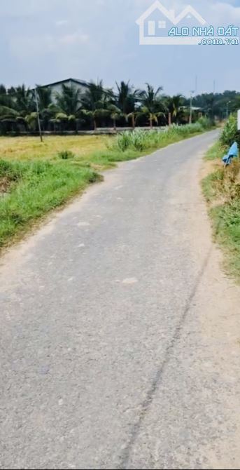 bán 10m ngang đất lúa mặt tiền đường thông ĐT787 vào 200mét trảng bàng tây ninh gần chợ - 4
