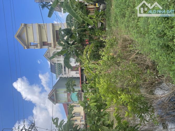 Chính chủ - bán đất nông nghiệp ( theo quy hoạch thuộc diện odt) - 4