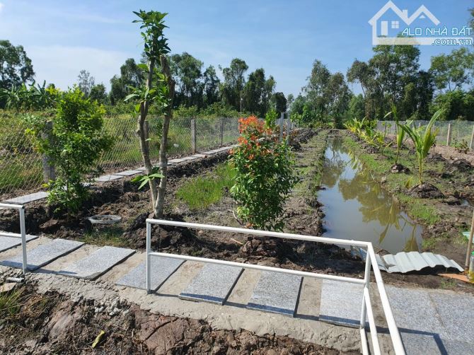 Bỏ phố về vườn, 455,4m2, SHR, Phước Thạnh, Giá 1 tỷ 250. - 5