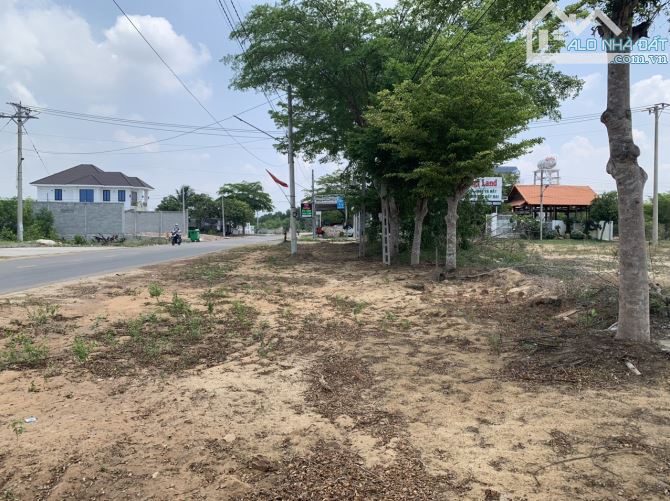 6x25 Mt Nguyễn Tri Phương, KDC SGHT Tân Bình,  LaGi gần biển đồi dương giá ngộp - 5