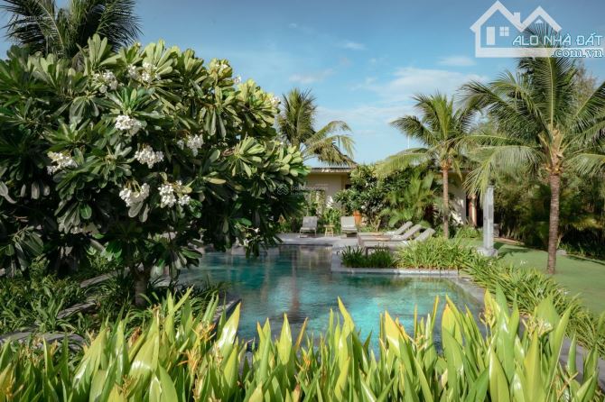 Cơ hội sở hữu biệt thự biển The Ocean Villas Quy Nhơn (Maia 2) – Giá nội bộ từ 6,64 tỷ - 5