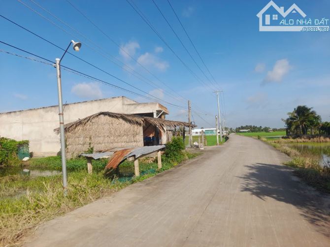 Hàng ngộp, 142m2 đất thổ đường ô tô Cầu Quay chỉ 449tr - 5