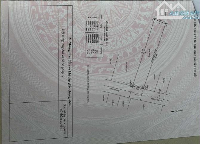 2 Lô Đất Liền kề hơn 95m hẻm xe hơi tiện xây CHDV gía chỉ 5,9 tỷ mỗi lô - 5