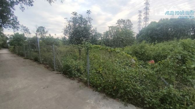 🌟 ĐẤT Ở ĐÔ THỊ 2030- DT:1.791M - CÓ 100M THỔ CƯ– GIÁ: 11 TỈ- AN PHƯỚC-LONG THÀNH 🌟 - 5