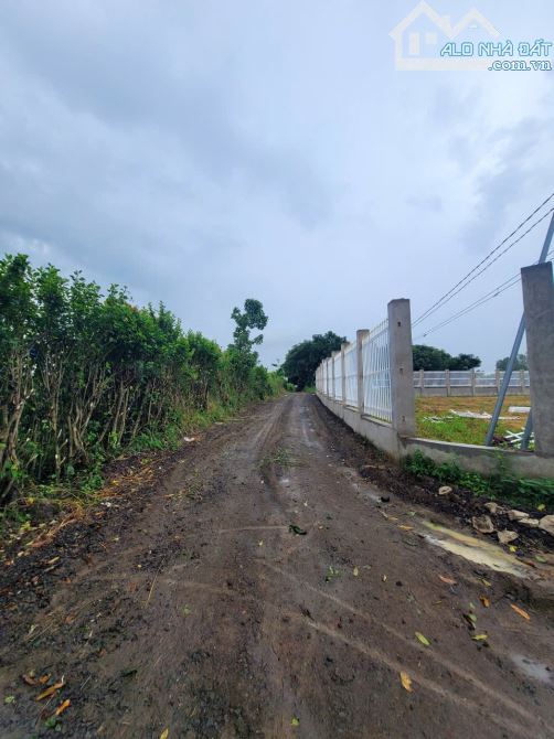 Cần bán đất xã Xuân Đông , huyện Cẩm Mỹ , Đồng Nai 10200m2 giá 10,8 tỷ - 5