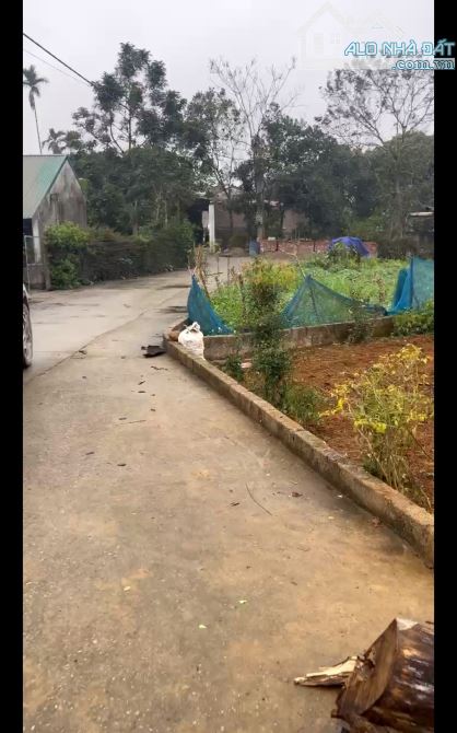 Dưới 3,5 tỷ có ngay lô đất dt 225m2, cách đường trục chính Yên Bình 50m, gần trường c1,2,3 - 5