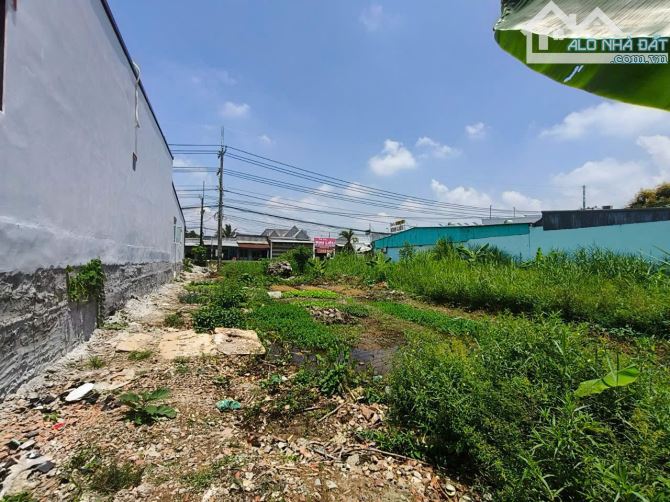 Đất mặt tiền Quốc lộ 80 ở Mong Thọ B - 6