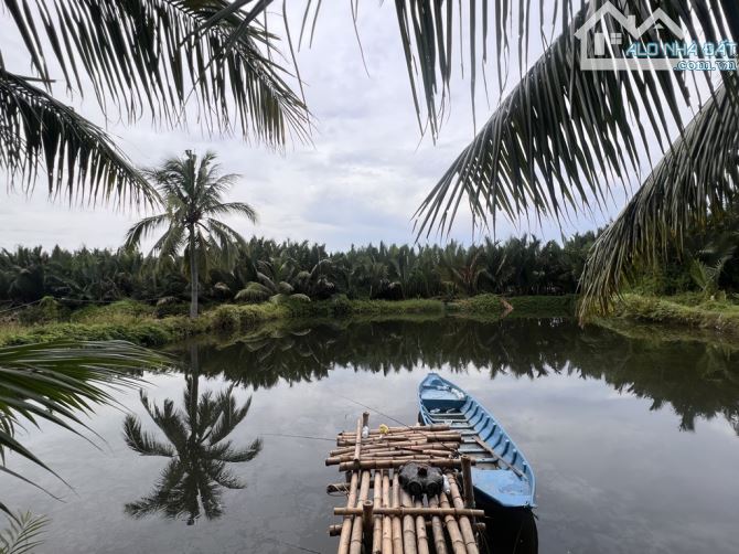 🎉🎉BÁN LÔ ĐẤT XÂY VILLA_BIỆT THỰ VIEW SÔNG NƯỚC HÀNG DỪA XANH - 6