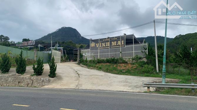 Bán trang trại 40000m2 tại trạm thu phí Định An, Đức Trọng, Lâm Đồng. Thích hợp đầu tư lâu - 6