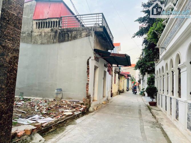 Bán đất Đan Phượng- ô tô 7 chỗ vào tận nơi, ngõ thông, gần tỉnh lộ 417, gần KCN, xây ở hoặ - 6