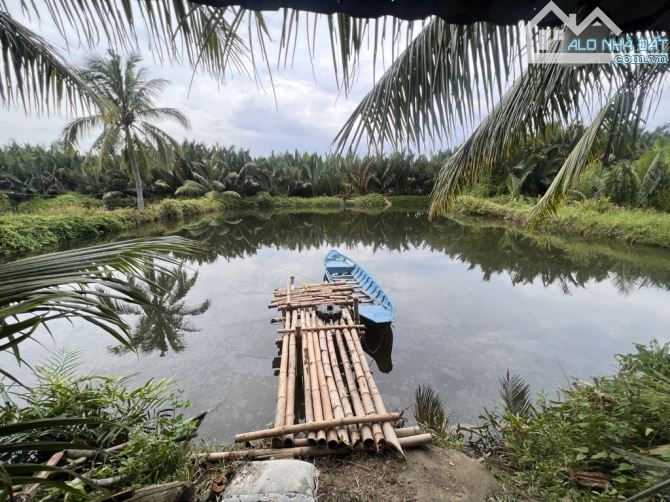 🏡 HÀNG DỪA XANH – ĐẤT VILLA VIEW SÔNG – 458M² NGANG 11M – 10 TỶ 5 🌿 - 7