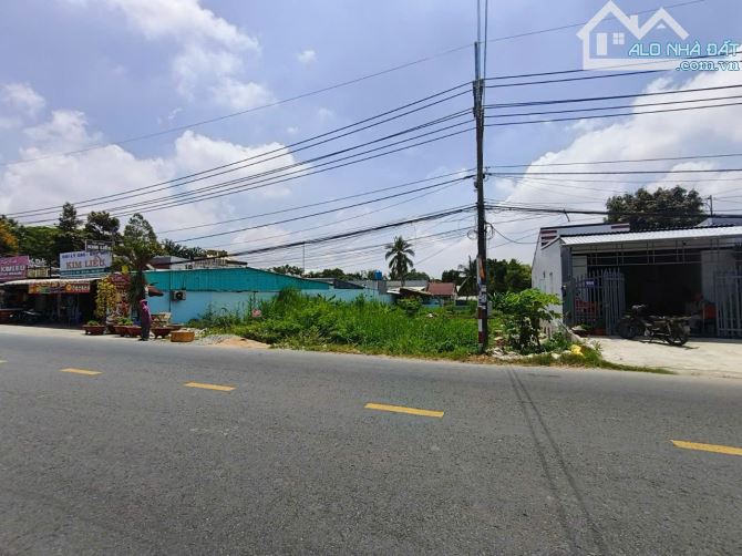 Đất mặt tiền Quốc lộ 80 ở Mong Thọ B - 7