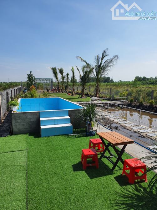 Bỏ phố về vườn, 455,4m2, SHR, Phước Thạnh, Giá 1 tỷ 250. - 7