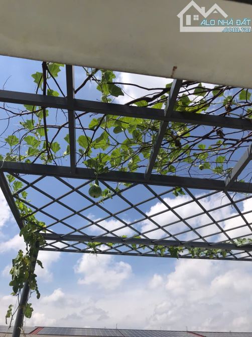 CẦN TIỀN Bán Gấp Căn 1T2L 1 tum KDC An Phước Bình Chiểu, Thủ Đức, TPHCM Gía chỉ 5.5 tỷ TL - 7