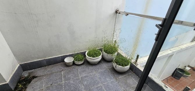 🌟 MẶT TIỀN ĐƯỜNG TÂN SƠN – GÒ VẤP – 5×30 – SỔ VUÔNG HOA HẬU – GIÁ 22.5 TỶ 🌟 - 7