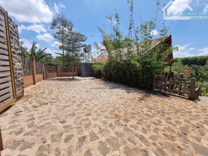 Homestay view hồ bơi hồ cá siêu đẹp ngay chợ Đầu Mối 1,1 sào TC100 chỉ 4,2 tỷ - 9