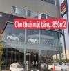 CHO THUÊ MẶT BẰNG KINH DOANH 800m2