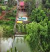 Homestay view hồ bơi hồ cá siêu đẹp ngay chợ Đầu Mối 1,1 sào TC100 chỉ 4,2 tỷ