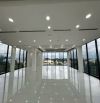 Cho thuê tòa nhà mới đẹp tổng diện tích 1300m2 góc 2 mặt tiền đường Nguyễn Ái Quốc