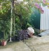 Bán đất ngõ đường Trần Tất Văn, Kiến An, Hải Phòng