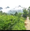 Bán gấp 1445m2 đất Ba Trại, gần Hồ Suối Hai, Ba Vì, vuông, nở hậu, oto, chỉ 4.39tỷ.