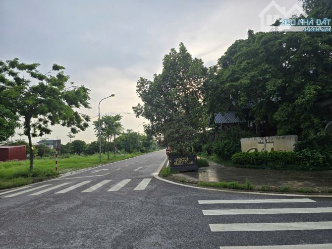 ⭐⭐⭐ Lô Góc  TH12 duy nhất vị trí đẹp Trục Dg Đoàn Thị Điểm  KDT  Tùng Bách Phượng Mao Quế