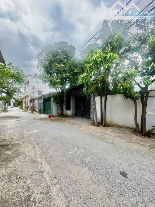 BÁN LÔ ĐẤT THỔ CƯ THUỘC KP3 TRẢNG DÀI - BIÊN HOÀ