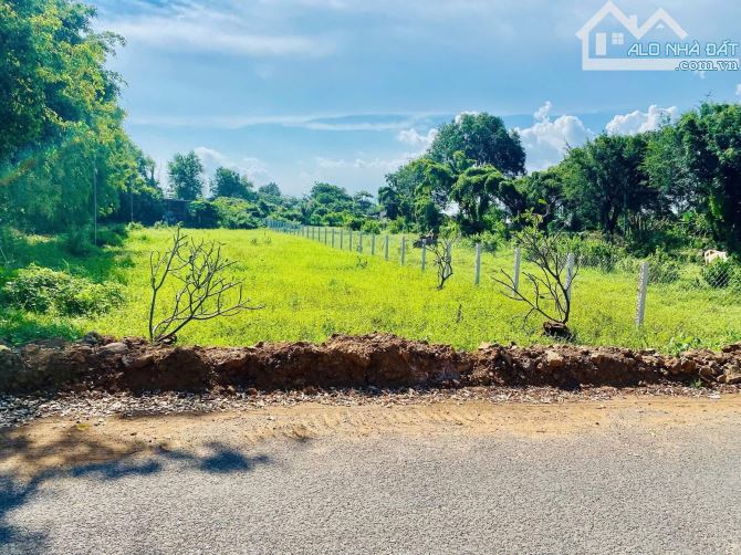 Bán 1050m2 sẵn 60 tc đất xã long mỹ tt phước hải ,brvt