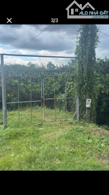 Bán vườn bưởi 1500m  2mặt tiền HL7 Tân Bình, Vĩnh Cửu. 20x70m. Giá 8 tỷ