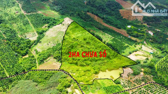 Đất không sổ giá rẻ 2ha giá chỉ 520tr tại Đắk Nông