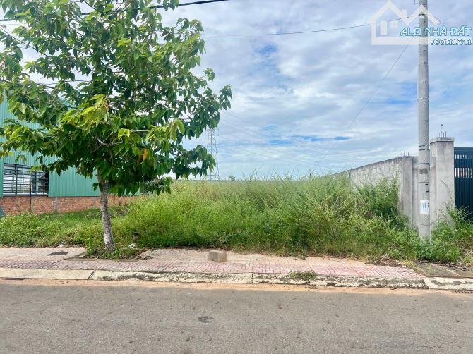 💥ĐẤT THỔ CƯ TRONG KDC HOÀ BÌNH XÃ HÀM LIÊM - TỈNH BÌNH THUẬN