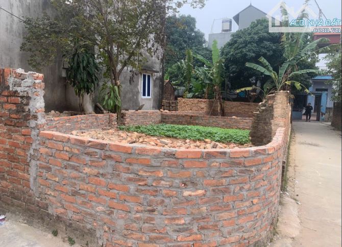 Chỉ 1tixxtr có 40m² Bắc Thượng - Quang Tiến - Sóc Sơn, Đường oto vào đất, Lô Góc siêu đẹp