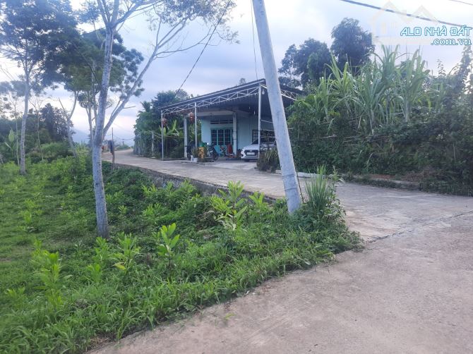 🆘️ GIẢM SÂU HƠN 2 TỶ BÁN GẤP: 970m2 ngang 23m Hòa Nhơn, Hòa Vang, gần Bà Nà - Suối Mơ