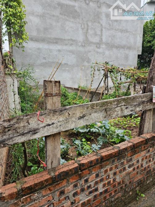 Đất mặt tiền đẹp Đại Cát – Bắc Từ Liêm 32,2m² – Ngõ ô tô vào tận nhà