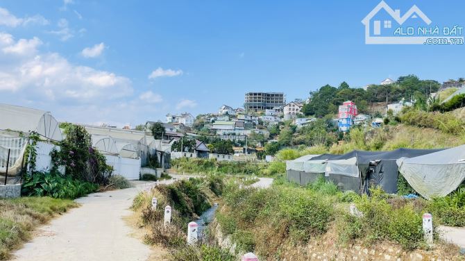 Bán lô đất 500m - đang làm vườn dâu công nghệ cao tại P3-Đà Lạt - giá tốt 9ty8
