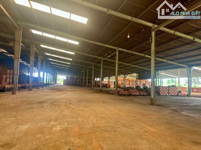 án công ty đang hoạt động tại Bình Thuận – nhà máy gạch, mỏ sét, đất trồng tràm
