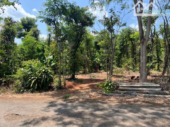 LÔ THỔ CƯ 13x75m HẺM PHAN HUY CHÚ - BMT - ĐAKLAK 1.9Tỷ
