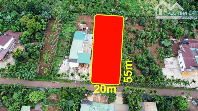 BÁN ĐẤT ĐƯỜNG 10kc ĐẠT LÝ  ĐƯỜNG NHỰA THÔNG THOÁNG