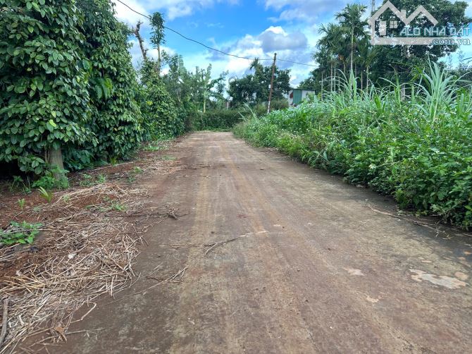 Tân An - Eatu QL26 km12     còn sót 1 lô 695Triệu giá bao khu vực
