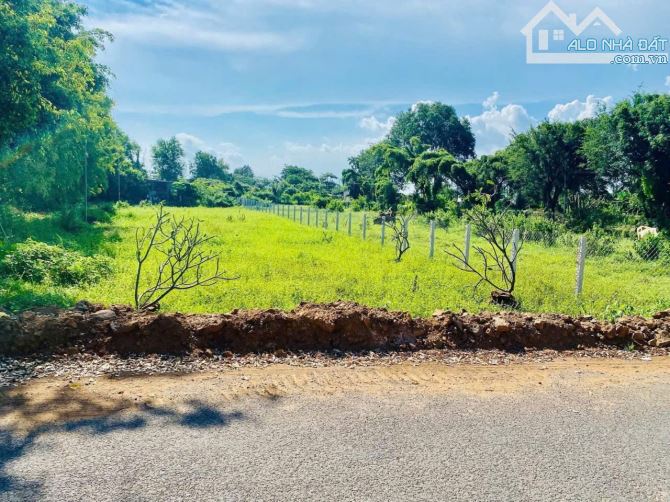 BÁN HƠN 1 SÀO 1050m2 ĐẤT LONG MỸ - PHƯỚC HẢI- TP HCM.SÁT TL 44B ĐƯỜG ĐANG ĐƯỢC NÂNG CẤP MỚ