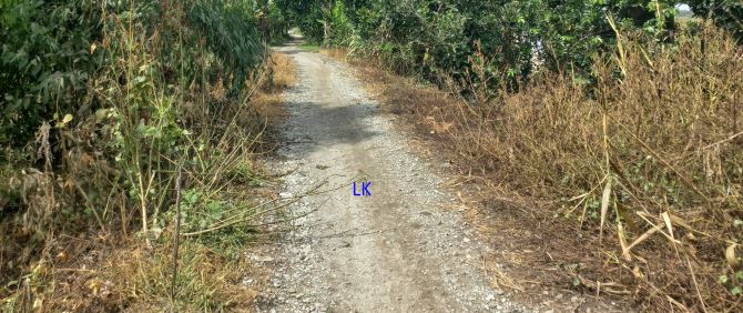 🔰 Bán đất lúa: 32.000m²(Mặt tiền 80m) 🔰 Đường đá xe ba gác, xã Tân Hội Trung