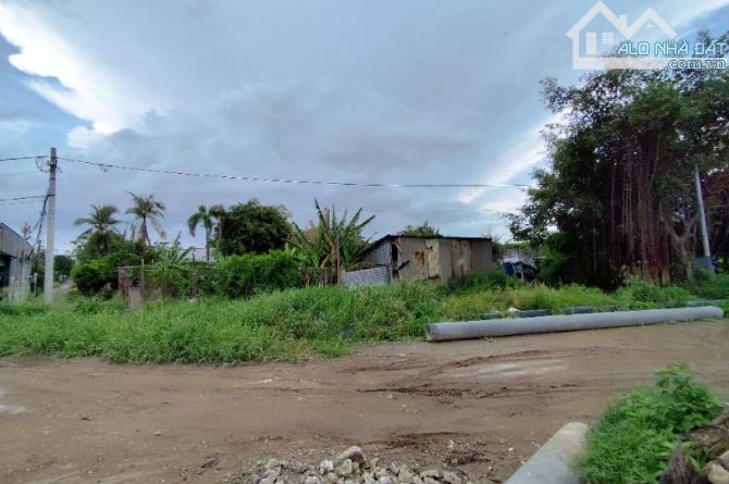 BÁN ĐẤT 1000M2 MẶT TIỀN SÔNG VÀM THUẬT VƯỜN LÀI AN PHÚ ĐÔNG CÁCH GÒ VẤP 5 PHÚT