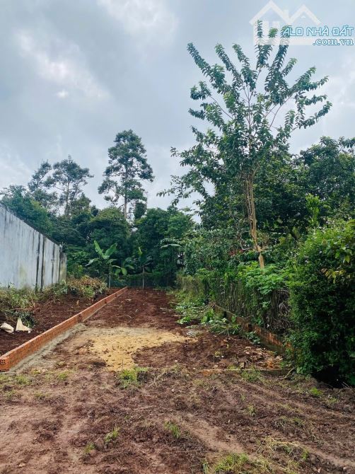 💥💥CẦN BÁN LÔ ĐẤT MẠT TIỀN D4 BUÔN JU P. TÂN AN GIÁ CHỈ 1tỷ 720