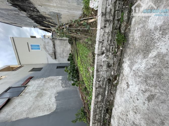 🌸🌸🌸Đất đẹp Quất Động - Thường Tín - Hà Nội  👉👉Chỉ 350m ra Quốc Lộc 1A
