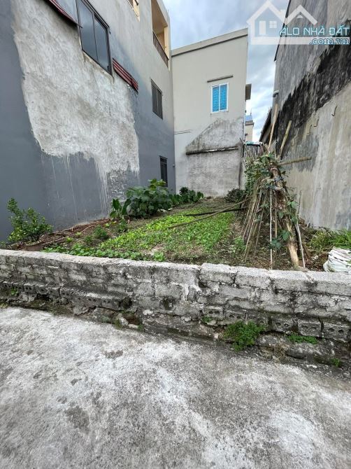 🌸🌸🌸Đất đẹp Quất Động - Thường Tín - Hà Nội  👉👉Chỉ 350m ra Quốc Lộc 1A  ⛔️Diện tích: 6
