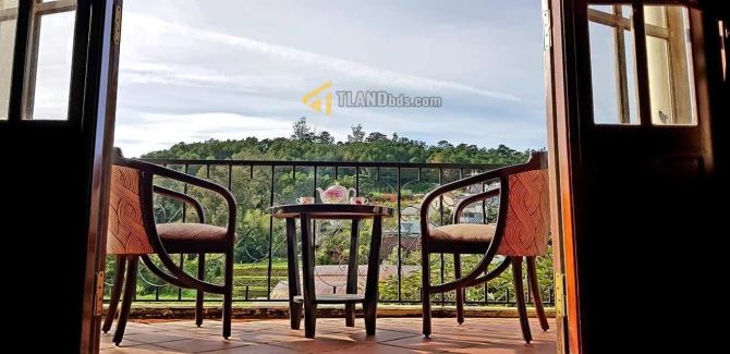 Bán biệt thự sân vườn Đà Lạt có view Thông thích hợp an cư nghỉ dưỡng