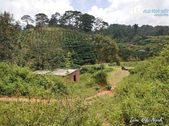 Bán nhanh 2.5ha đất bám suối xã Tà Năng,Lâm Đồng giá rẻ chỉ 100 triệu/sào thương lượng