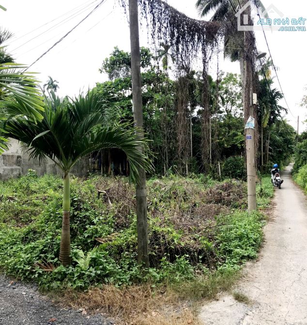 Đất Đẹp 18x17m Đường Bùi Công Trừng X.Nhị Bình Hóc Môn Giá 4.8 Tỷ Thổ Cư 200m2