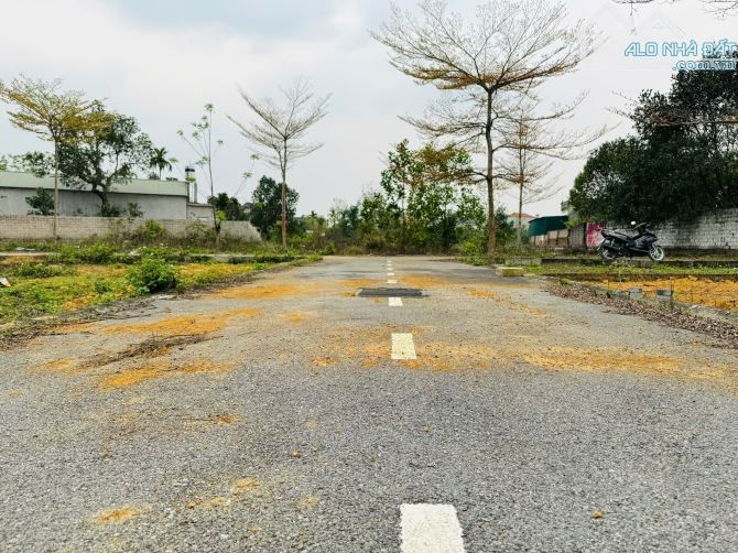 Bán nhanh lô đất 61,9m² – Vị trí Cánh Chủ, siêu tiềm năng
