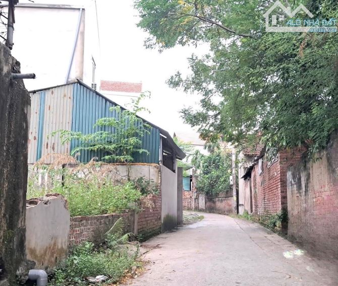 50,1m gần quốc lộ 1A giá đầu tư 👉 thắng lợi -thường tín